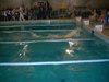 DSCN0401