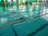 DSCF0237