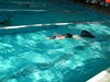 DSCF2383