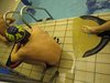 IMG_1653