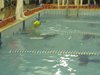 IMG_1642