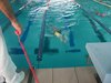 DSCF0249