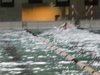 DSCF0065