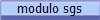 modulo sgs